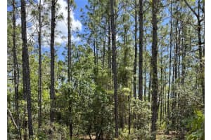 0 CELESTE {LOT6} AVENUE, WEEKI WACHEE, FL 34614 - MLS#MFRW7875823